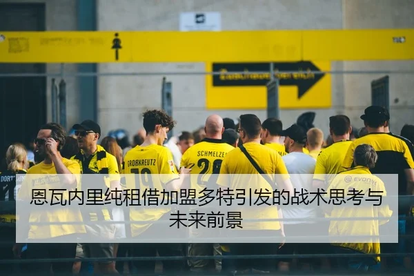 恩瓦内里纯租借加盟多特引发的战术思考与未来前景